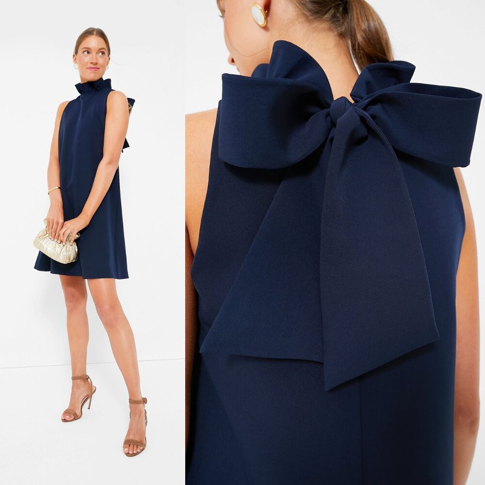 Tuckernuck Navy Sleeveless Mini Dress with Back Bow